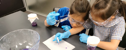 Biotechnology for Beginners @ South Hurstville | Tinkery