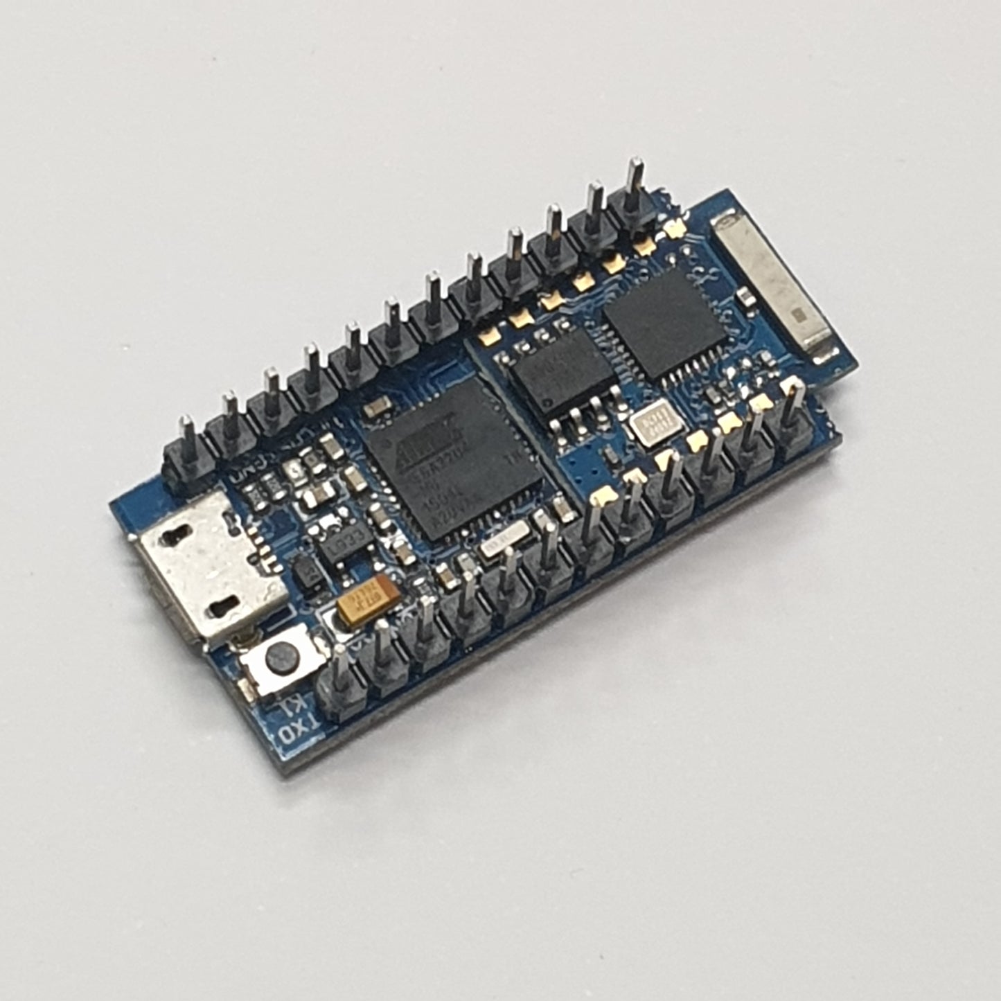 Cactus IoT Microcontroller (Arduino Compatible)